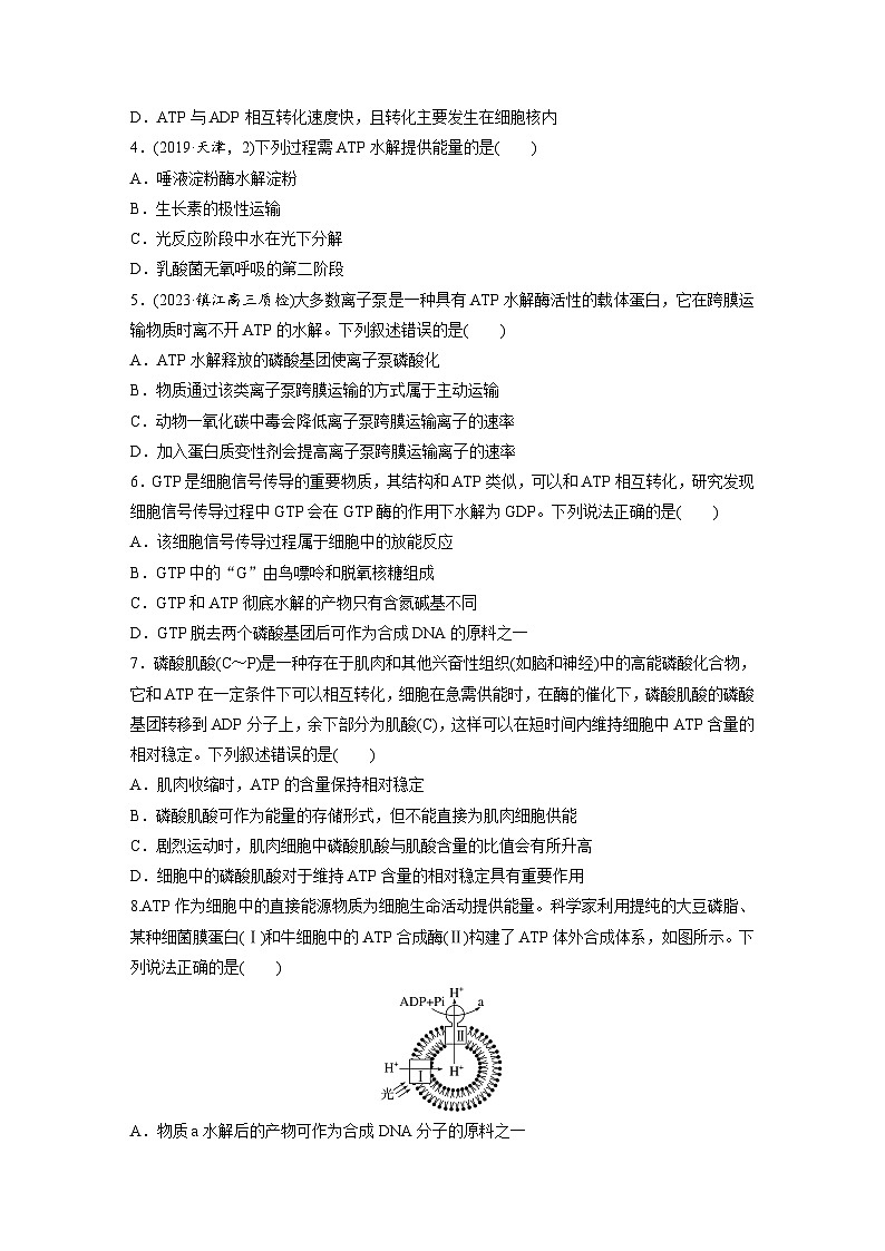 第三单元　课时练12  细胞的能量“货币”ATP-2025年高考生物大一轮复习（课件+讲义+练习）专练第2页