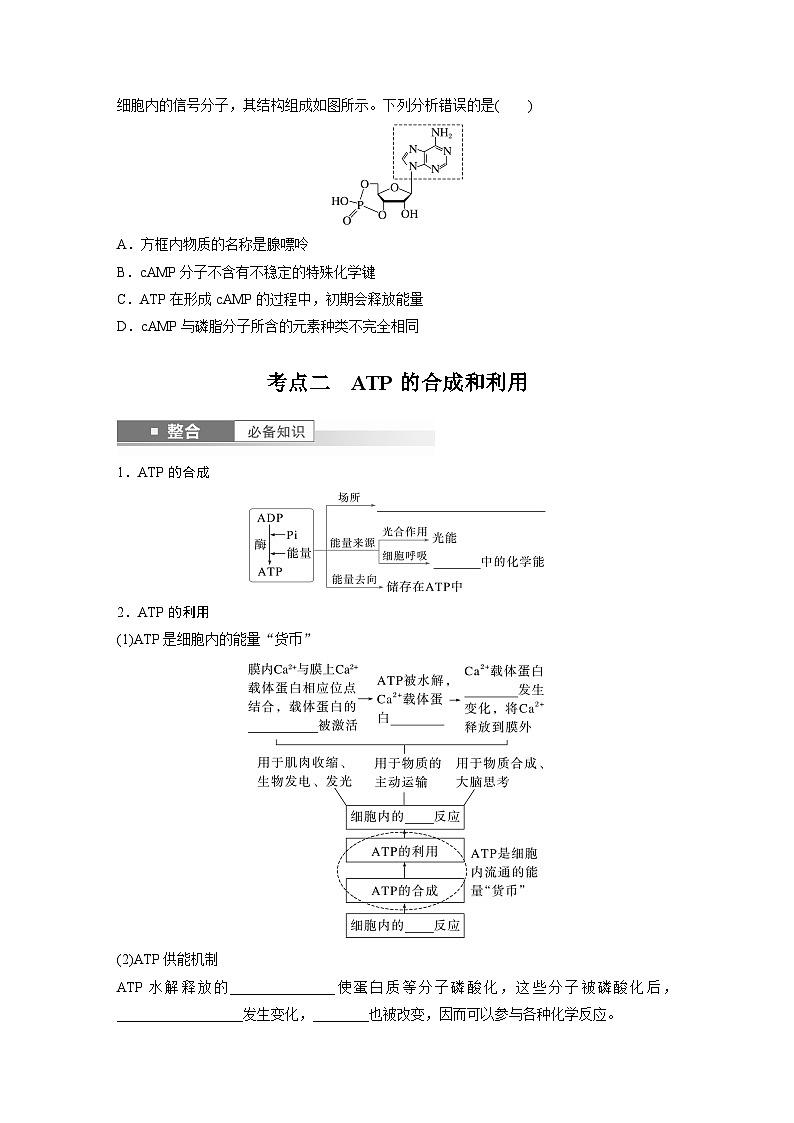 第三单元　第12课时　细胞的能量“货币”ATP-2025年高考生物大一轮复习（课件+讲义+练习）学生版第3页