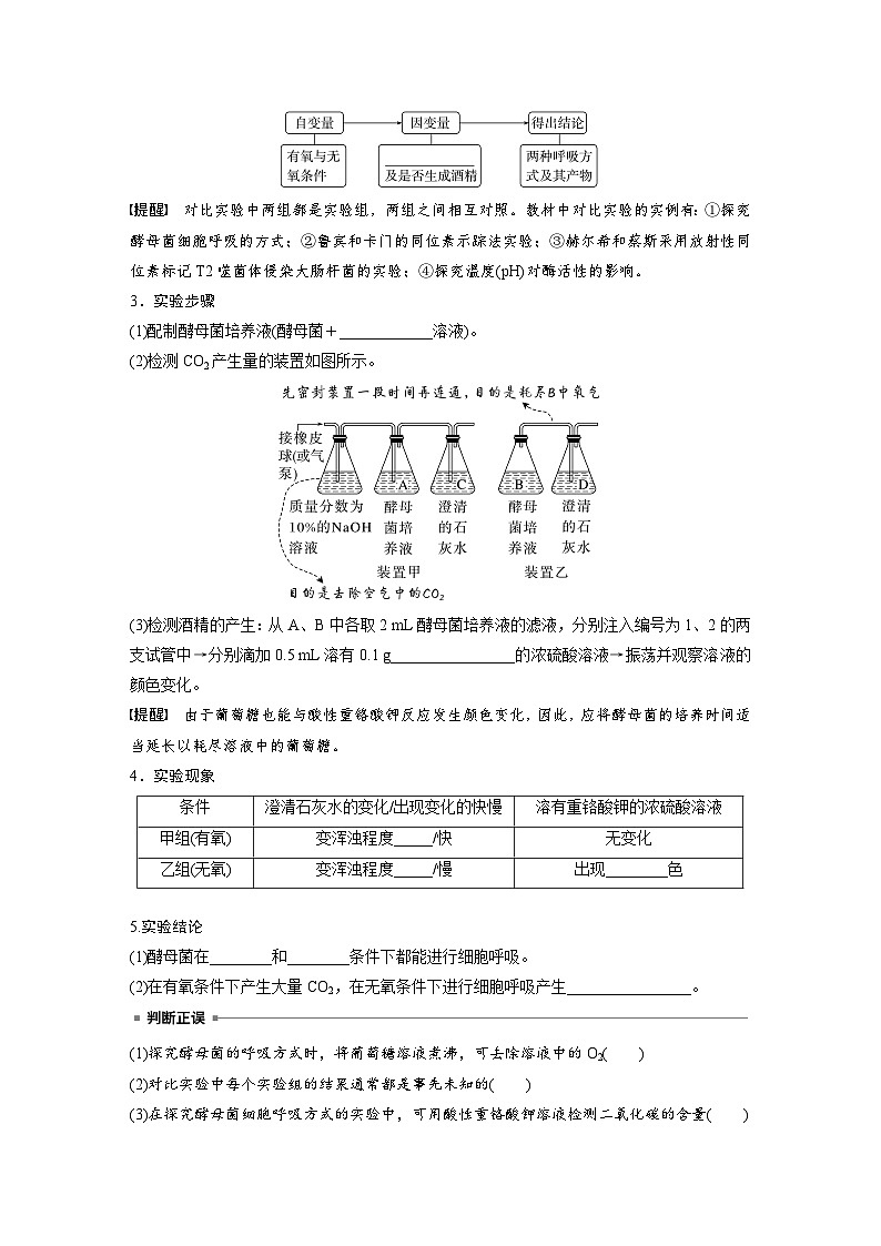 第三单元　第13课时　细胞呼吸的方式和有氧呼吸-2025年高考生物大一轮复习（课件+讲义+练习）学生版第2页
