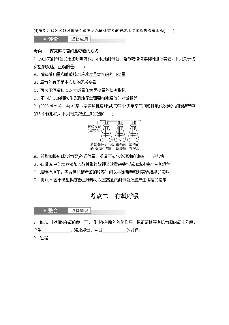 第三单元　第13课时　细胞呼吸的方式和有氧呼吸-2025年高考生物大一轮复习（课件+讲义+练习）学生版第3页