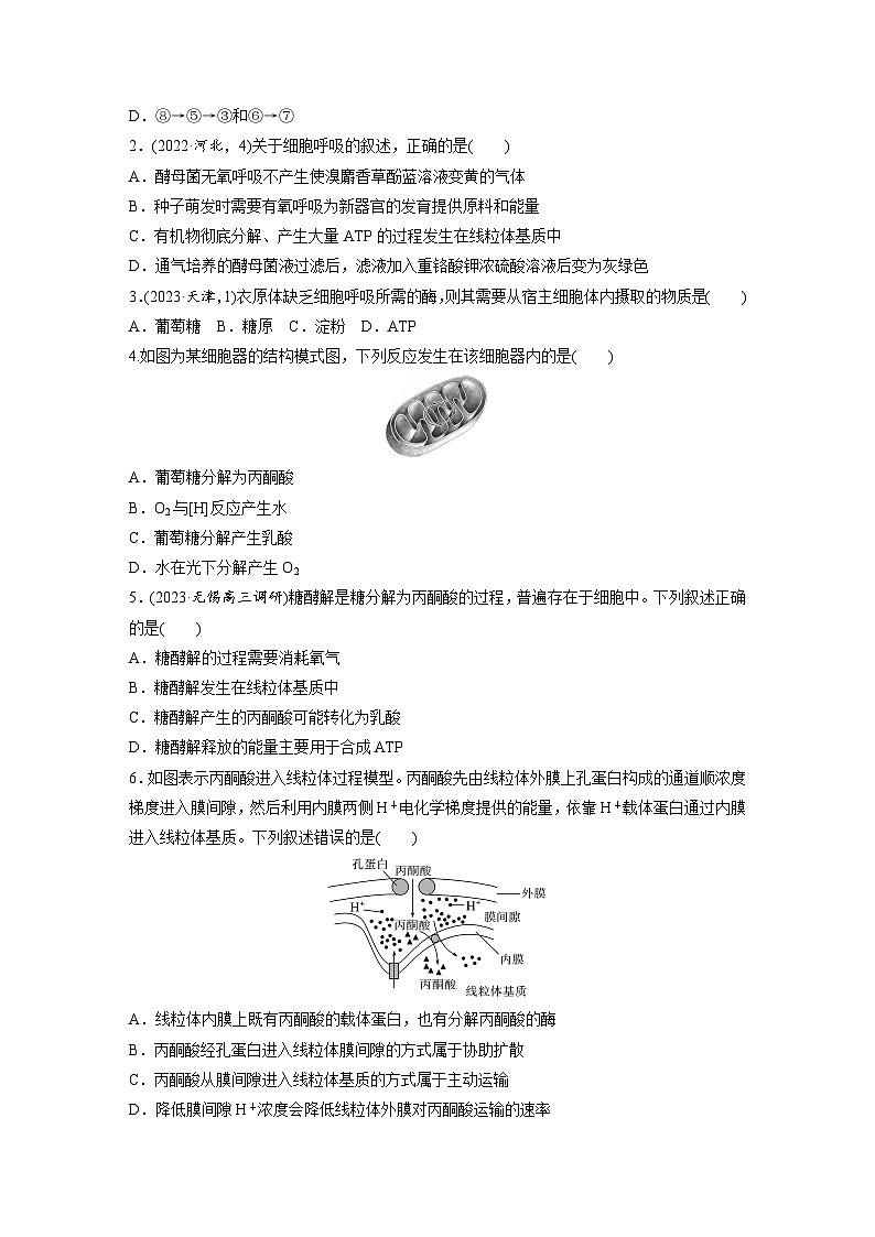第三单元　课时练13  细胞呼吸的方式和有氧呼吸-2025年高考生物大一轮复习（课件+讲义+练习）专练第2页
