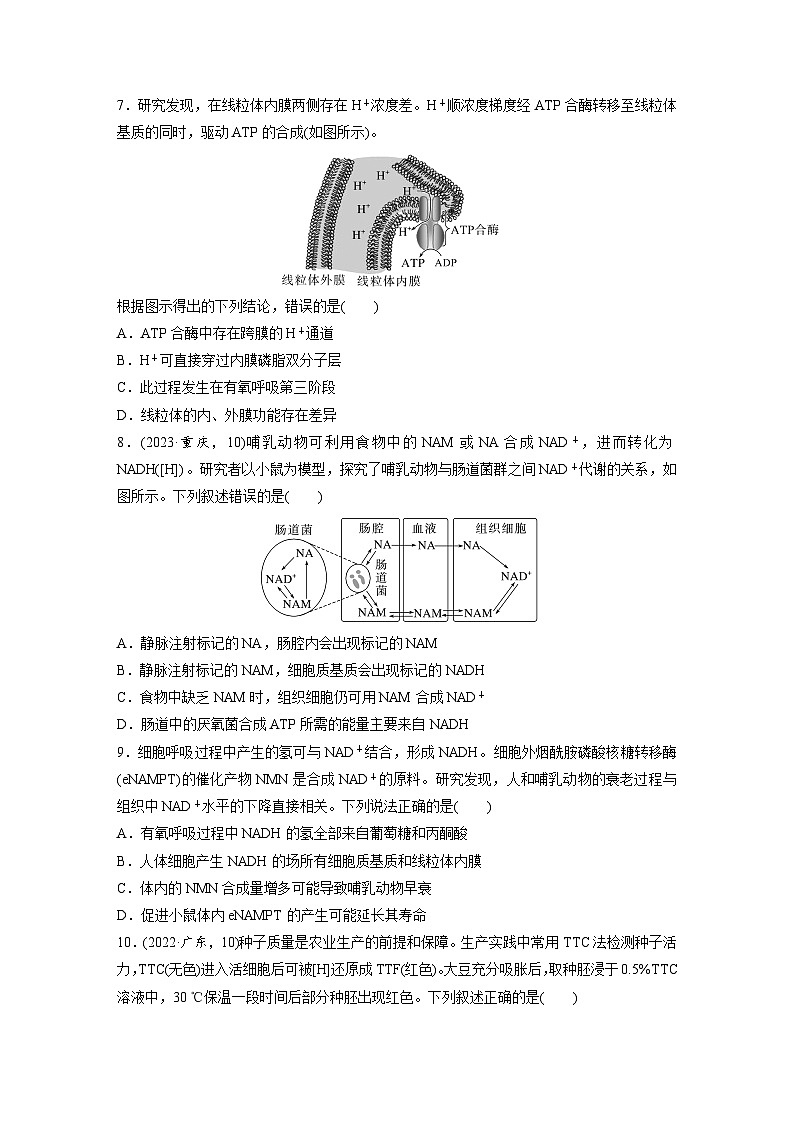 第三单元　课时练13  细胞呼吸的方式和有氧呼吸-2025年高考生物大一轮复习（课件+讲义+练习）专练第3页