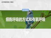 第三单元　第十三课时　细胞呼吸的方式和有氧呼吸-2025年高考生物大一轮复习（课件+讲义+练习）