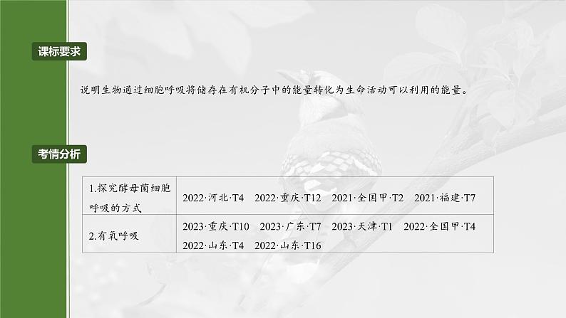 第三单元　第十三课时　细胞呼吸的方式和有氧呼吸-2025年高考生物大一轮复习（课件+讲义+练习）04