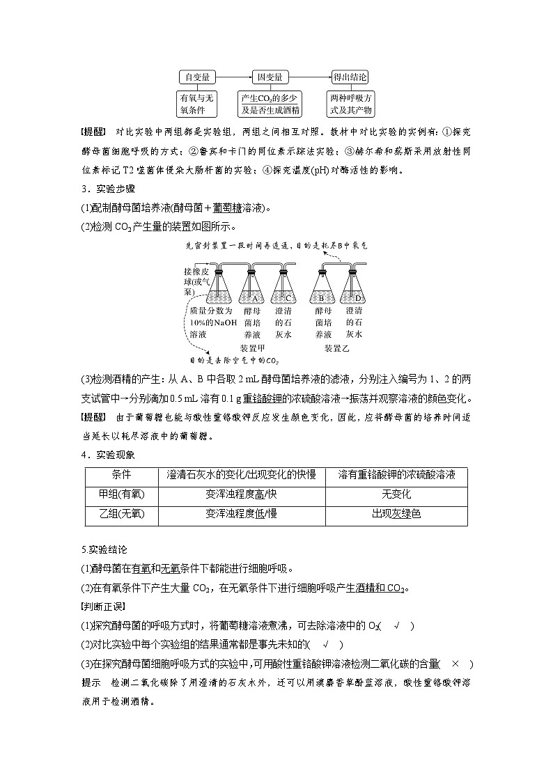 第三单元　第13课时　细胞呼吸的方式和有氧呼吸-2025年高考生物大一轮复习（课件+讲义+练习）教师版第2页