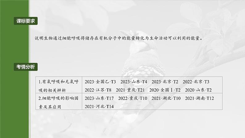 第三单元　第14课时　无氧呼吸、细胞呼吸的影响因素及其应用第4页