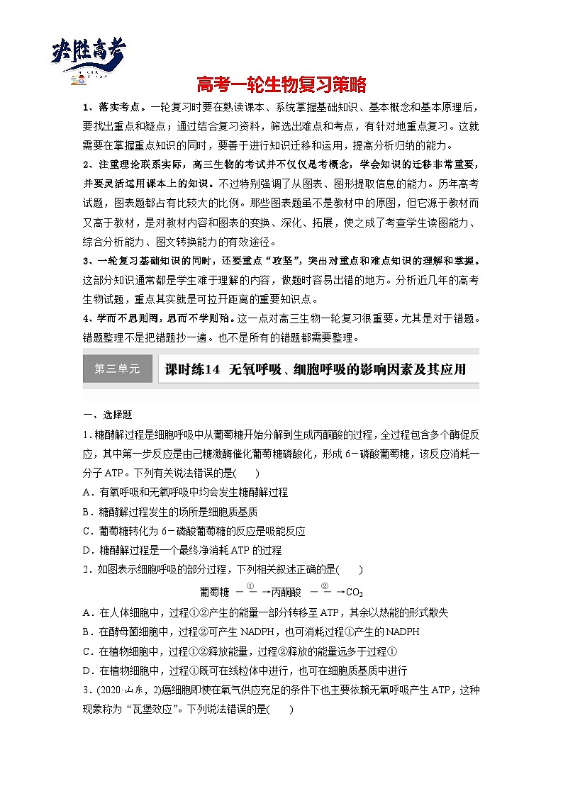 第三单元　第十四课时　无氧呼吸、细胞呼吸的影响因素及其应用-2025年高考生物大一轮复习（课件+讲义+练习）01