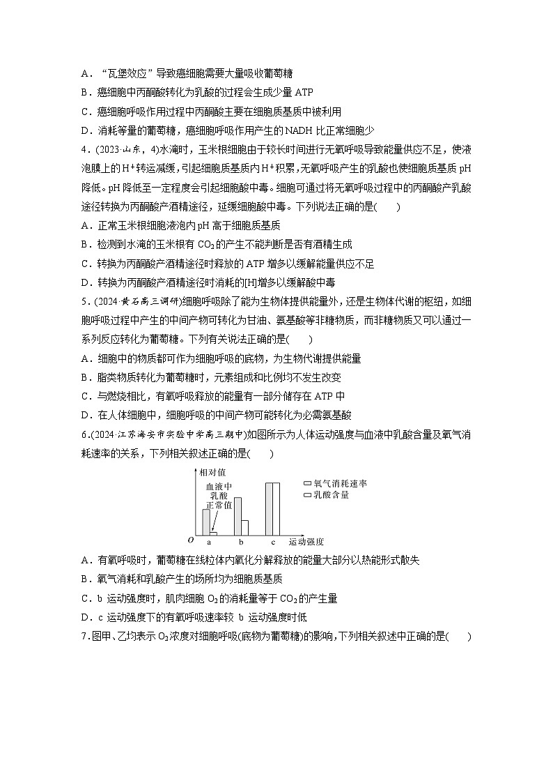 第三单元　第十四课时　无氧呼吸、细胞呼吸的影响因素及其应用-2025年高考生物大一轮复习（课件+讲义+练习）02