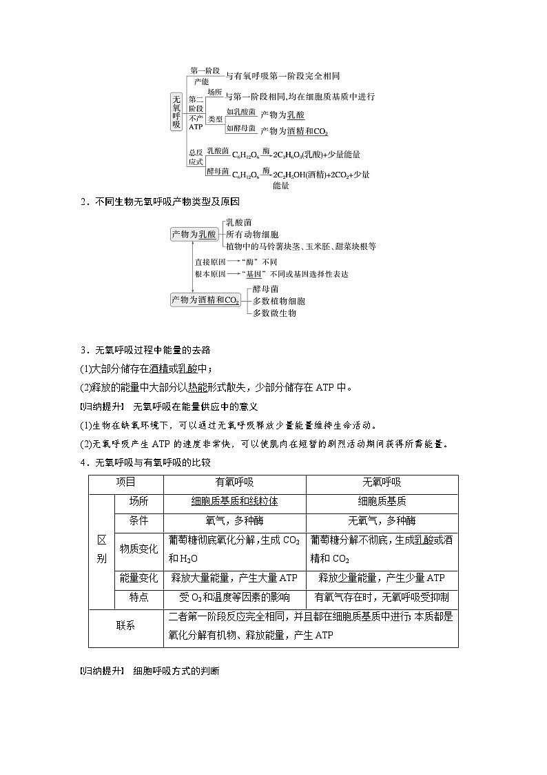 第三单元　第十四课时　无氧呼吸、细胞呼吸的影响因素及其应用-2025年高考生物大一轮复习（课件+讲义+练习）02