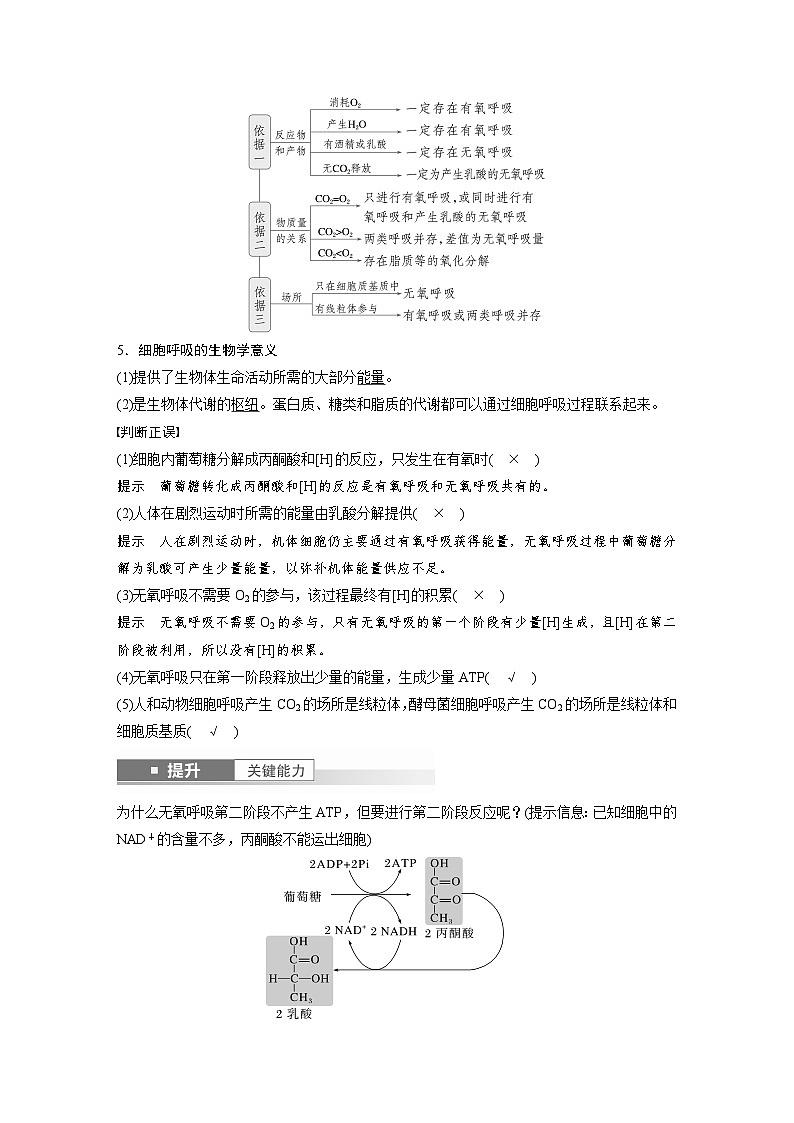 第三单元　第十四课时　无氧呼吸、细胞呼吸的影响因素及其应用-2025年高考生物大一轮复习（课件+讲义+练习）03