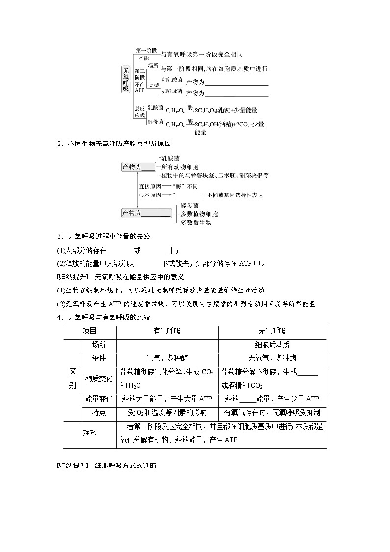 第三单元　第十四课时　无氧呼吸、细胞呼吸的影响因素及其应用-2025年高考生物大一轮复习（课件+讲义+练习）02
