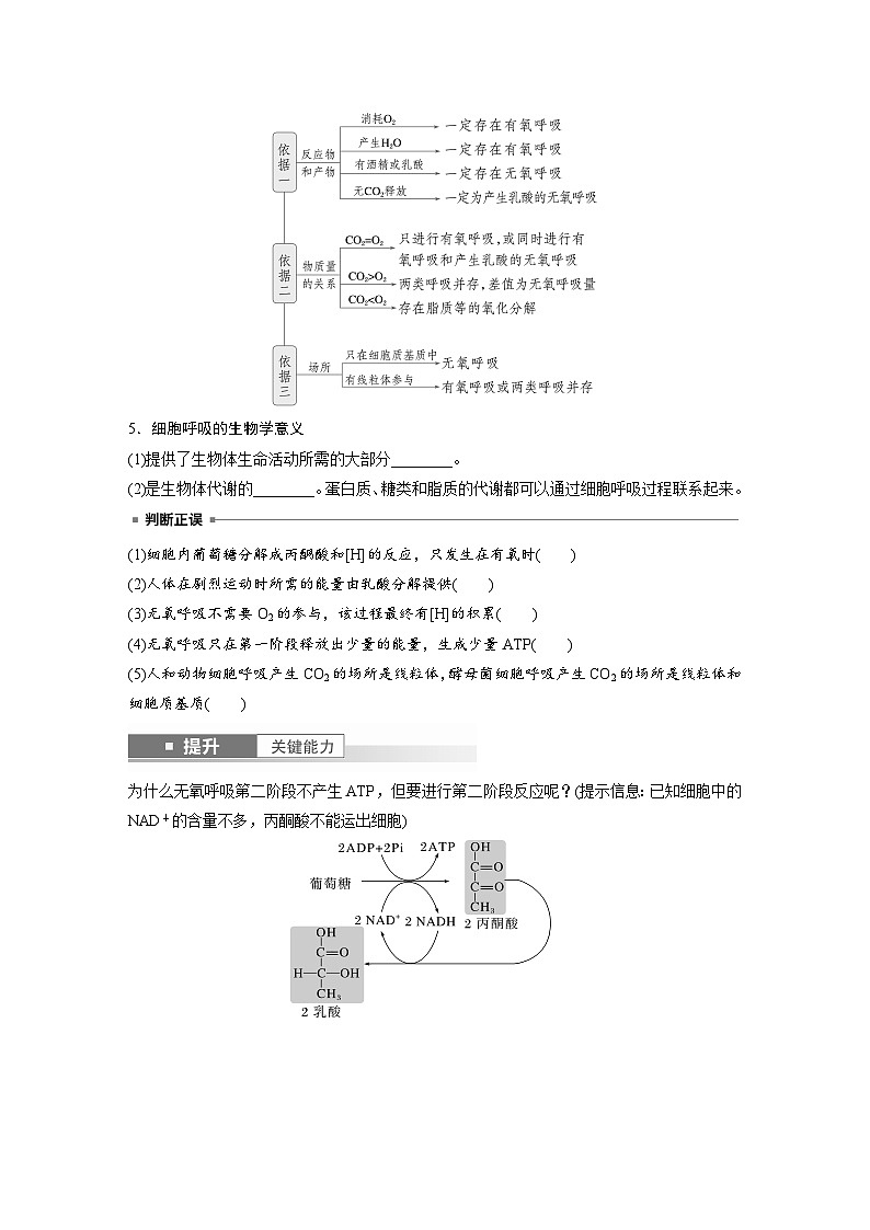 第三单元　第十四课时　无氧呼吸、细胞呼吸的影响因素及其应用-2025年高考生物大一轮复习（课件+讲义+练习）03