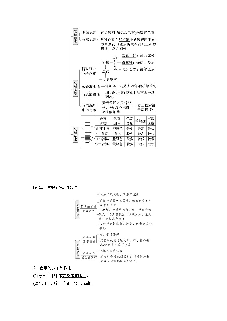 第三单元　第十五课时　捕获光能的色素和结构及光合作用原理的探索-2025年高考生物大一轮复习（课件+讲义+练习）02