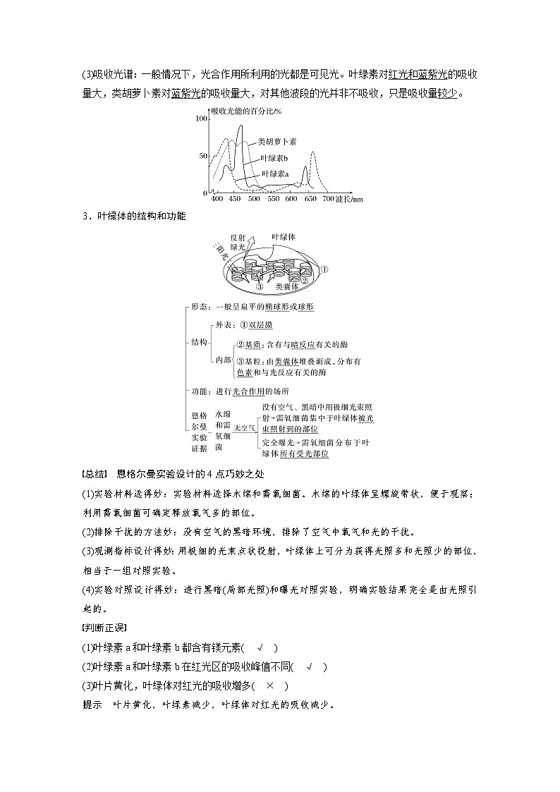 第三单元　第十五课时　捕获光能的色素和结构及光合作用原理的探索-2025年高考生物大一轮复习（课件+讲义+练习）03