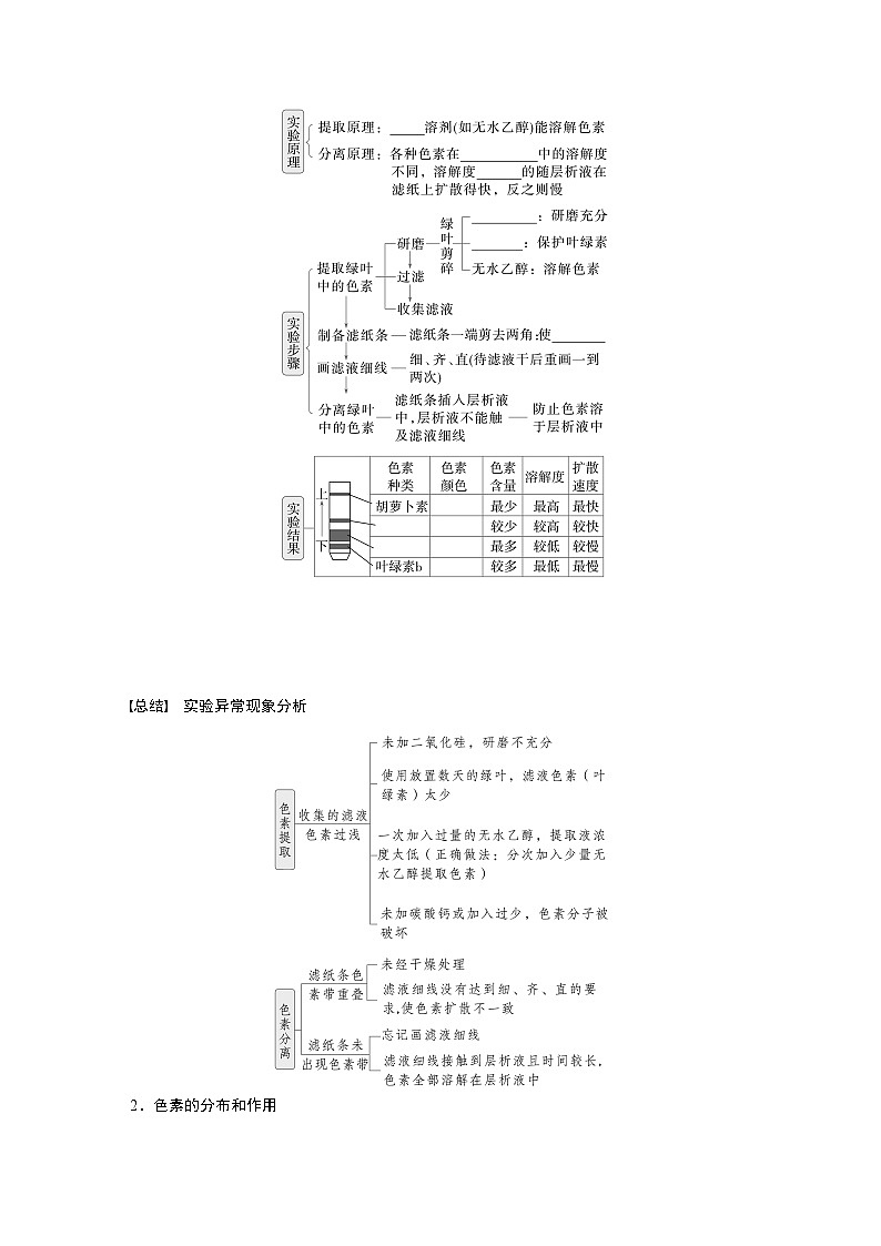 第三单元　第十五课时　捕获光能的色素和结构及光合作用原理的探索-2025年高考生物大一轮复习（课件+讲义+练习）02