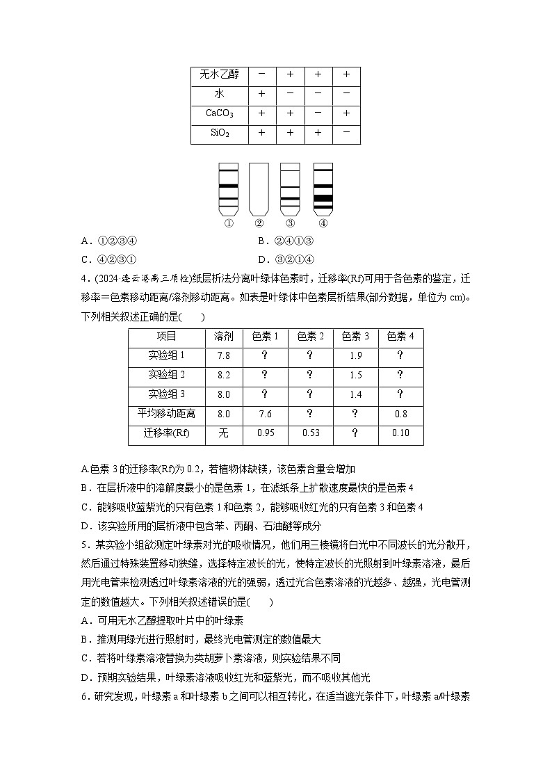 第三单元　第十五课时　捕获光能的色素和结构及光合作用原理的探索-2025年高考生物大一轮复习（课件+讲义+练习）02