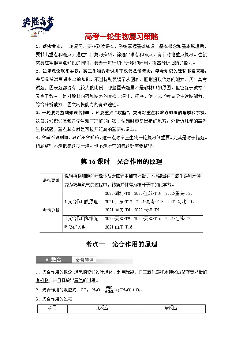 第三单元　第16课时　光合作用的原理-2025年高考生物大一轮复习（课件+讲义+练习）教师版第1页