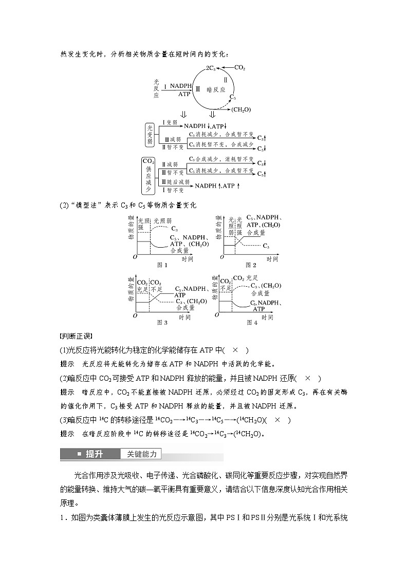 第三单元　第16课时　光合作用的原理-2025年高考生物大一轮复习（课件+讲义+练习）教师版第3页