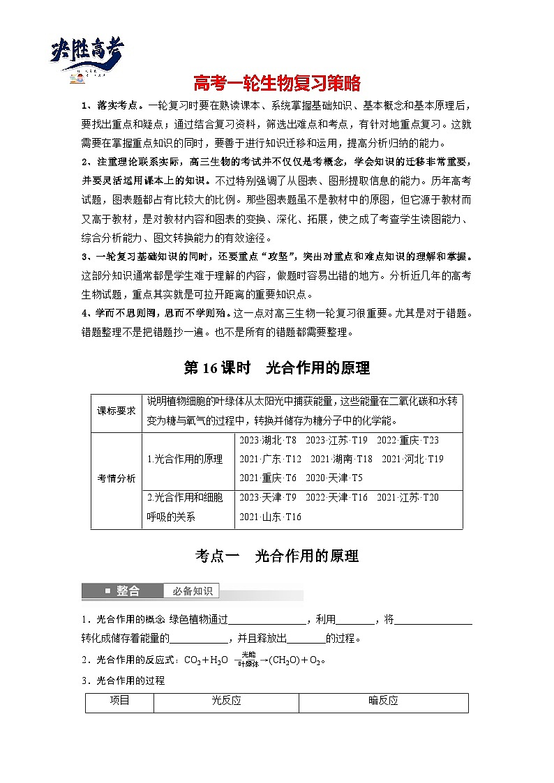 第三单元　第16课时　光合作用的原理-2025年高考生物大一轮复习（课件+讲义+练习）学生版第1页