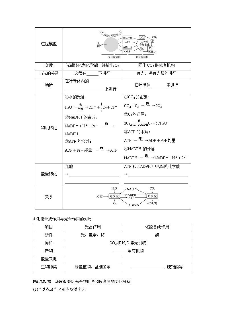 第三单元　第16课时　光合作用的原理-2025年高考生物大一轮复习（课件+讲义+练习）学生版第2页