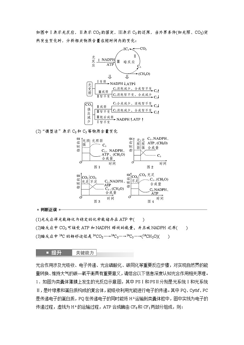 第三单元　第16课时　光合作用的原理-2025年高考生物大一轮复习（课件+讲义+练习）学生版第3页