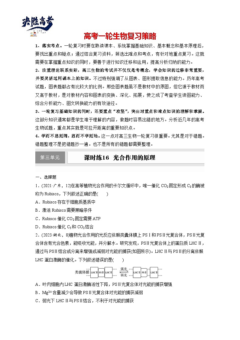 第三单元　课时练16  光合作用的原理-2025年高考生物大一轮复习（课件+讲义+练习）专练第1页