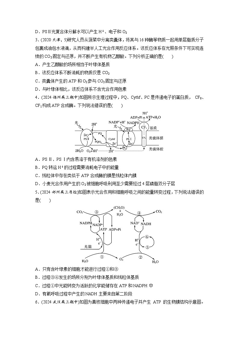 第三单元　课时练16  光合作用的原理-2025年高考生物大一轮复习（课件+讲义+练习）专练第2页