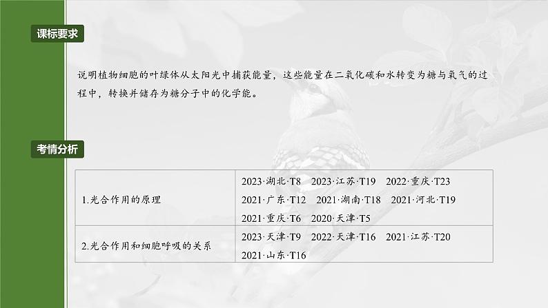 第三单元　第十六课时　光合作用的原理-2025年高考生物大一轮复习（课件+讲义+练习）04