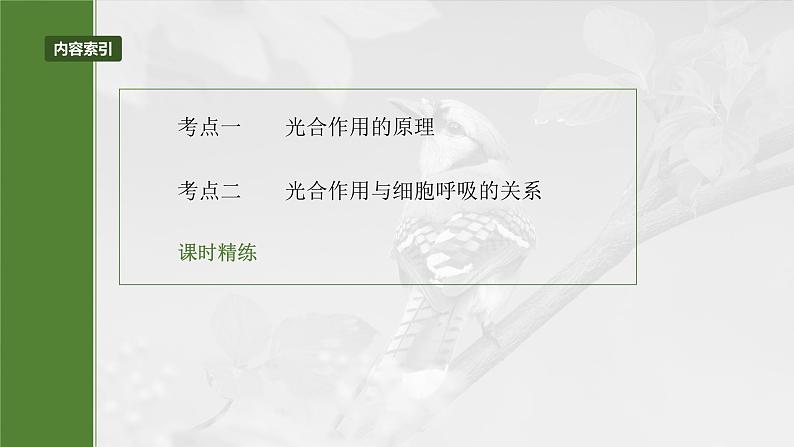 第三单元　第十六课时　光合作用的原理-2025年高考生物大一轮复习（课件+讲义+练习）05