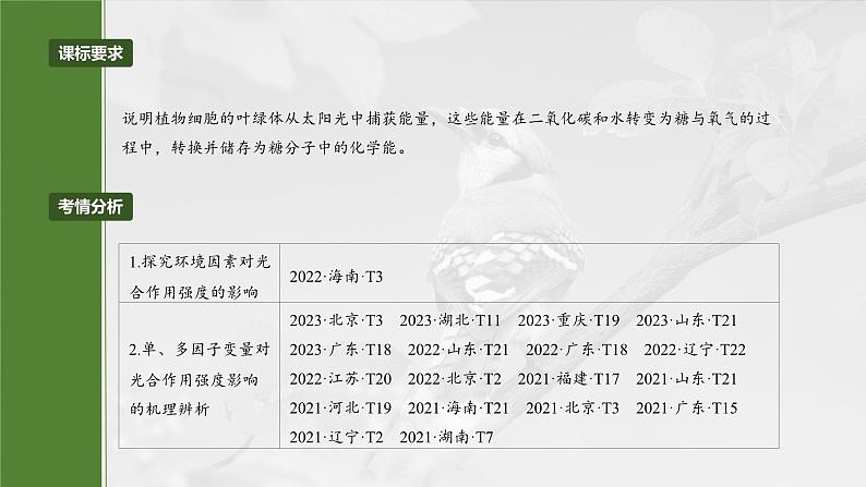 第三单元　第十七课时　光合作用的影响因素及其应用-2025年高考生物大一轮复习（课件+讲义+练习）04