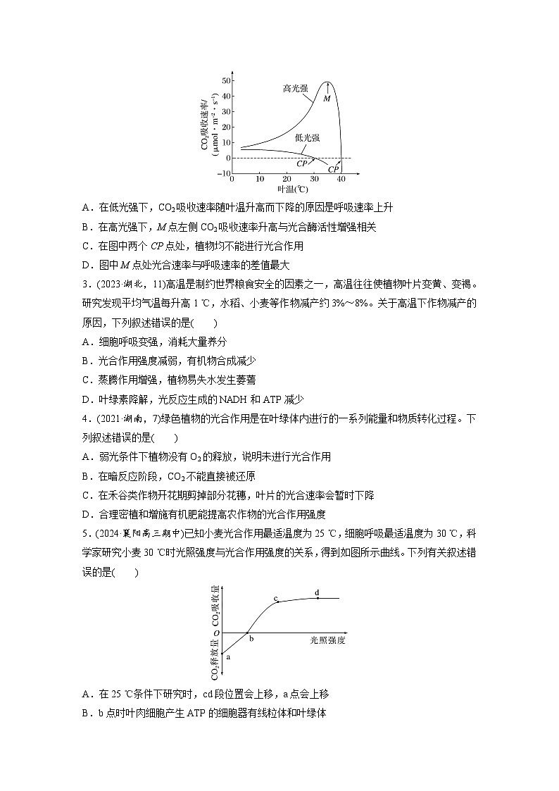 第三单元　第十七课时　光合作用的影响因素及其应用-2025年高考生物大一轮复习（课件+讲义+练习）02