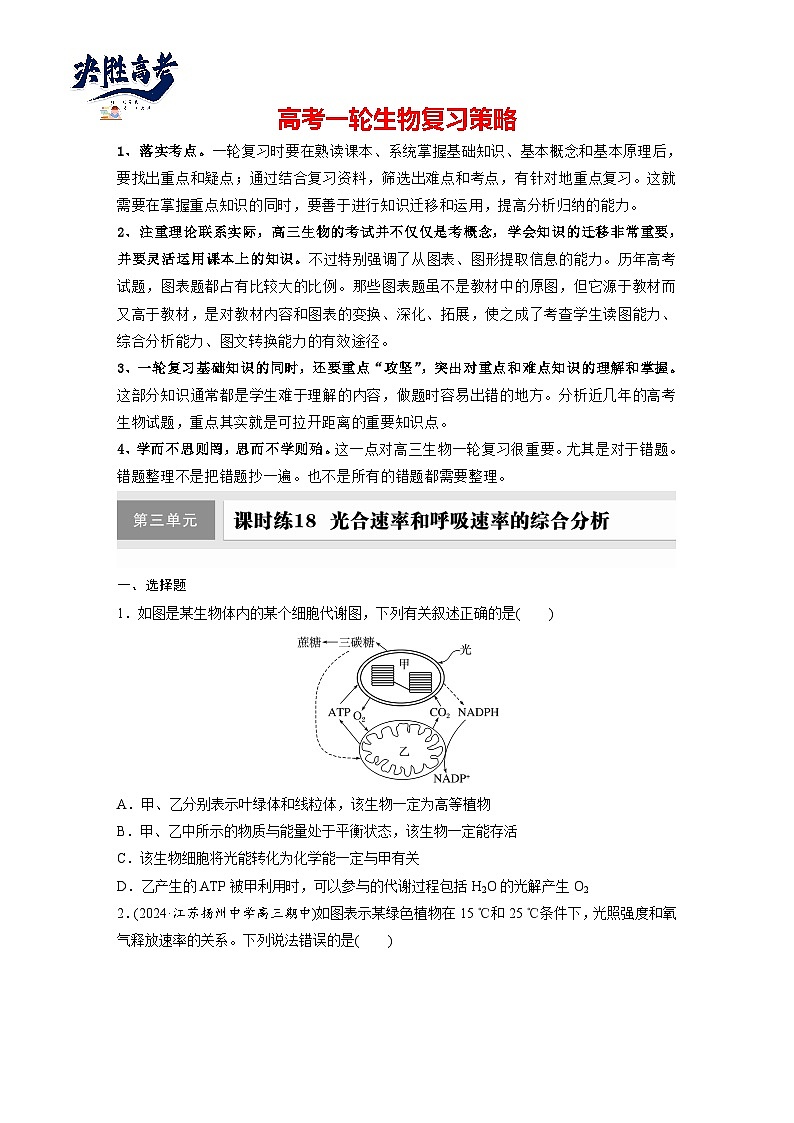 第三单元　课时练18  光合速率和呼吸速率的综合分析-2025年高考生物大一轮复习（课件+讲义+练习）专练第1页