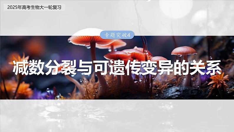 第四单元　专题突破4　减数分裂与可遗传变异的关系第3页