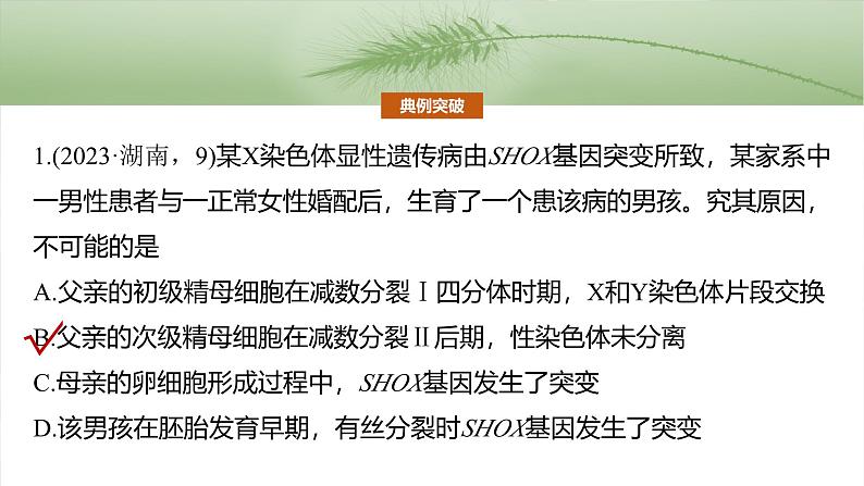 第四单元　专题突破4　减数分裂与可遗传变异的关系第6页