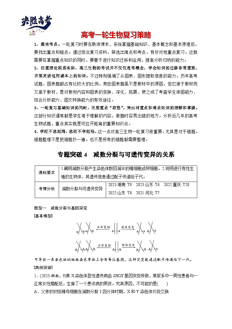 第四单元　专题突破4　减数分裂与可遗传变异的关系-2025年高考生物大一轮复习（课件+讲义+练习）学生版第1页