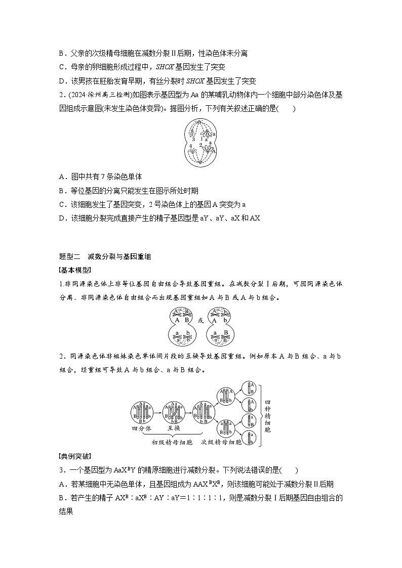 第四单元　专题突破4　减数分裂与可遗传变异的关系-2025年高考生物大一轮复习（课件+讲义+练习）学生版第2页