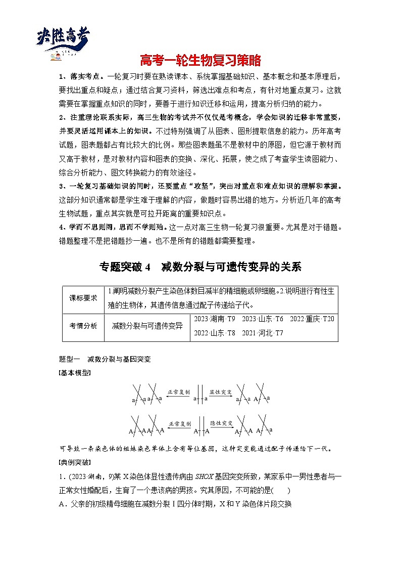 第四单元　专题突破4　减数分裂与可遗传变异的关系-2025年高考生物大一轮复习（课件+讲义+练习）教师版第1页