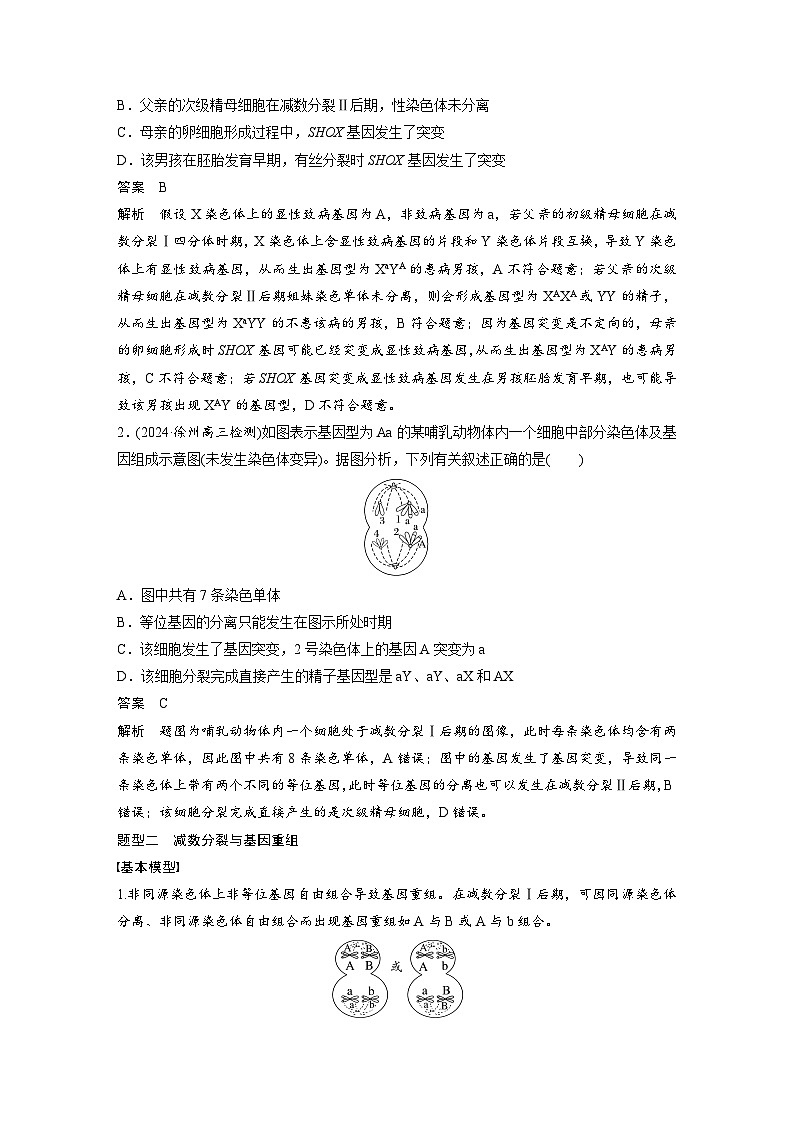 第四单元　专题突破4　减数分裂与可遗传变异的关系-2025年高考生物大一轮复习（课件+讲义+练习）教师版第2页