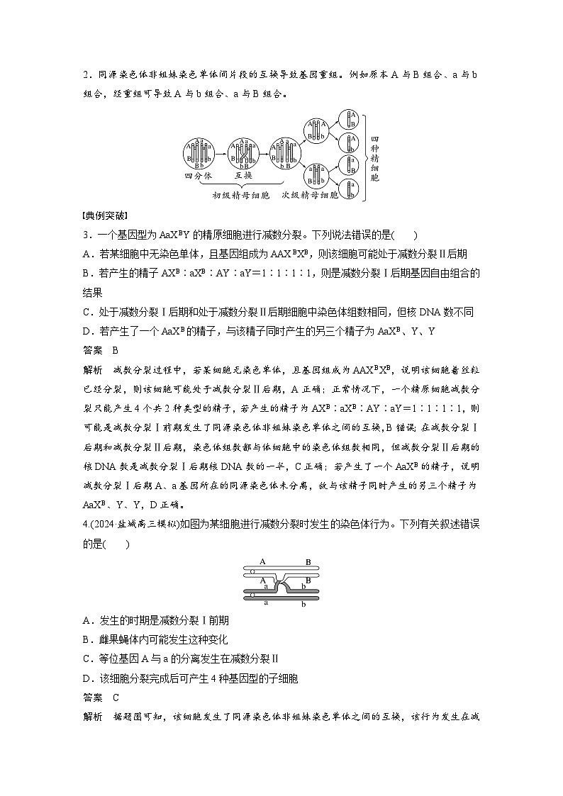 第四单元　专题突破4　减数分裂与可遗传变异的关系-2025年高考生物大一轮复习（课件+讲义+练习）教师版第3页