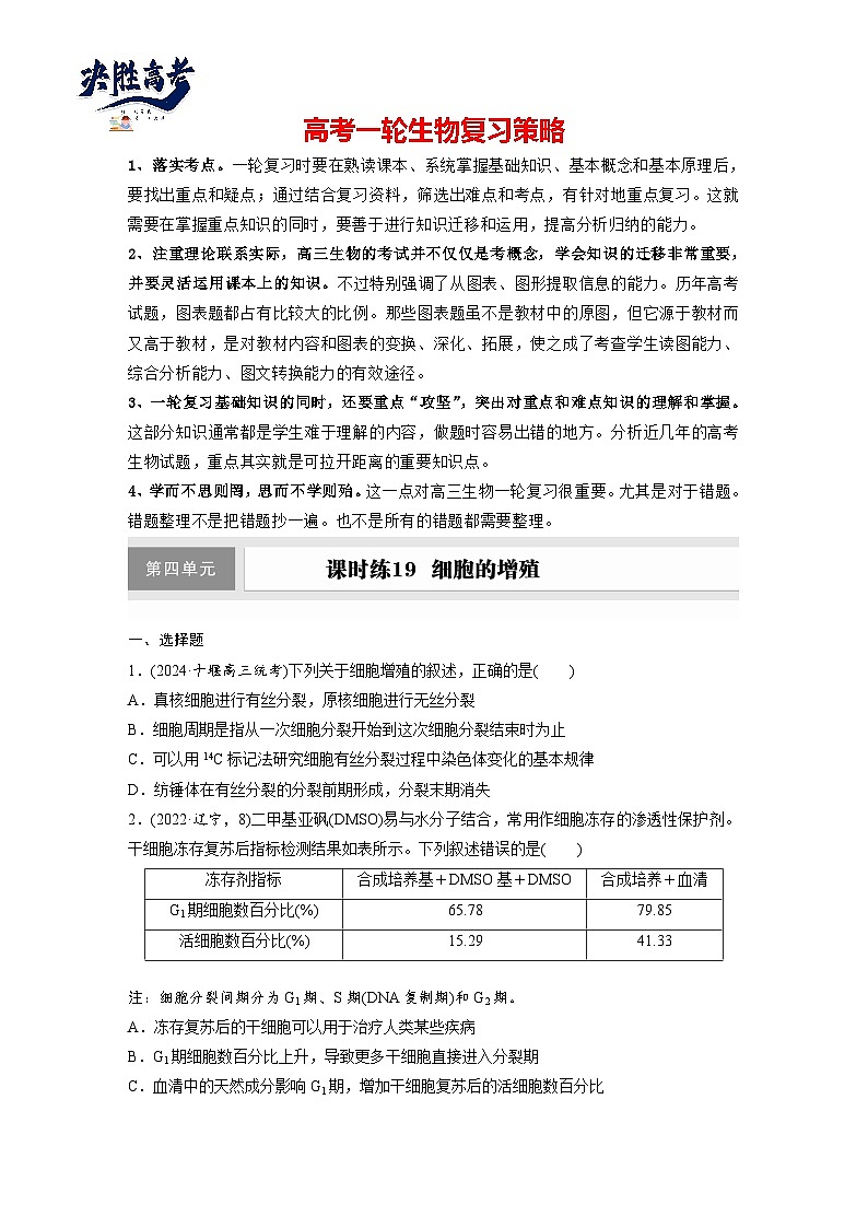 第四单元  课时练19  细胞的增殖-2025年高考生物大一轮复习（课件+讲义+练习）专练第1页