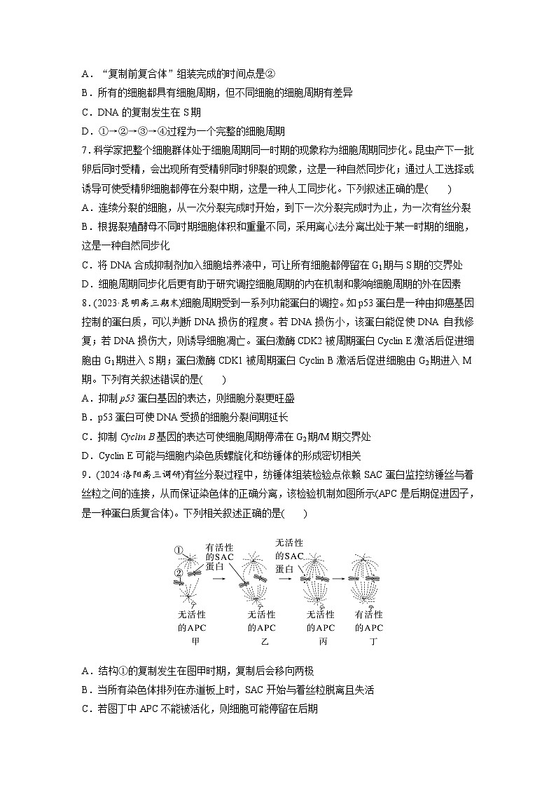 第四单元  课时练19  细胞的增殖-2025年高考生物大一轮复习（课件+讲义+练习）专练第3页