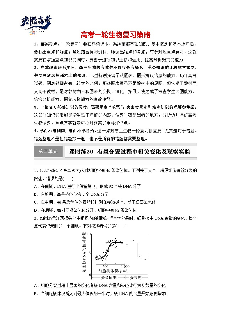 第四单元　第二十课时　有丝分裂过程中相关变化及观察实验-2025年高考生物大一轮复习（课件+讲义+练习）01