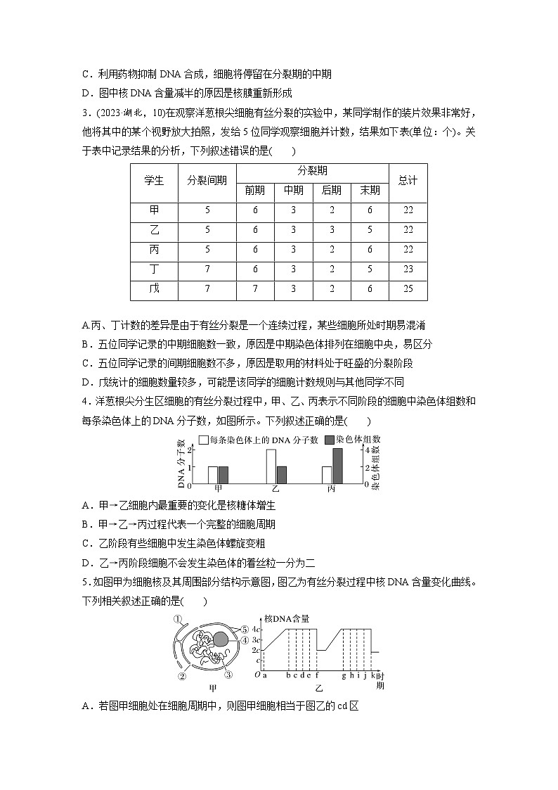 第四单元　第二十课时　有丝分裂过程中相关变化及观察实验-2025年高考生物大一轮复习（课件+讲义+练习）02