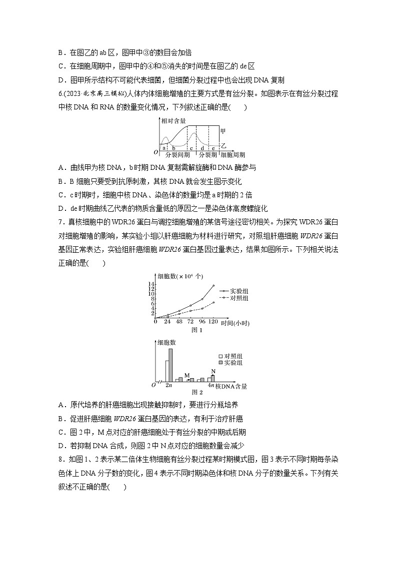 第四单元　第二十课时　有丝分裂过程中相关变化及观察实验-2025年高考生物大一轮复习（课件+讲义+练习）03