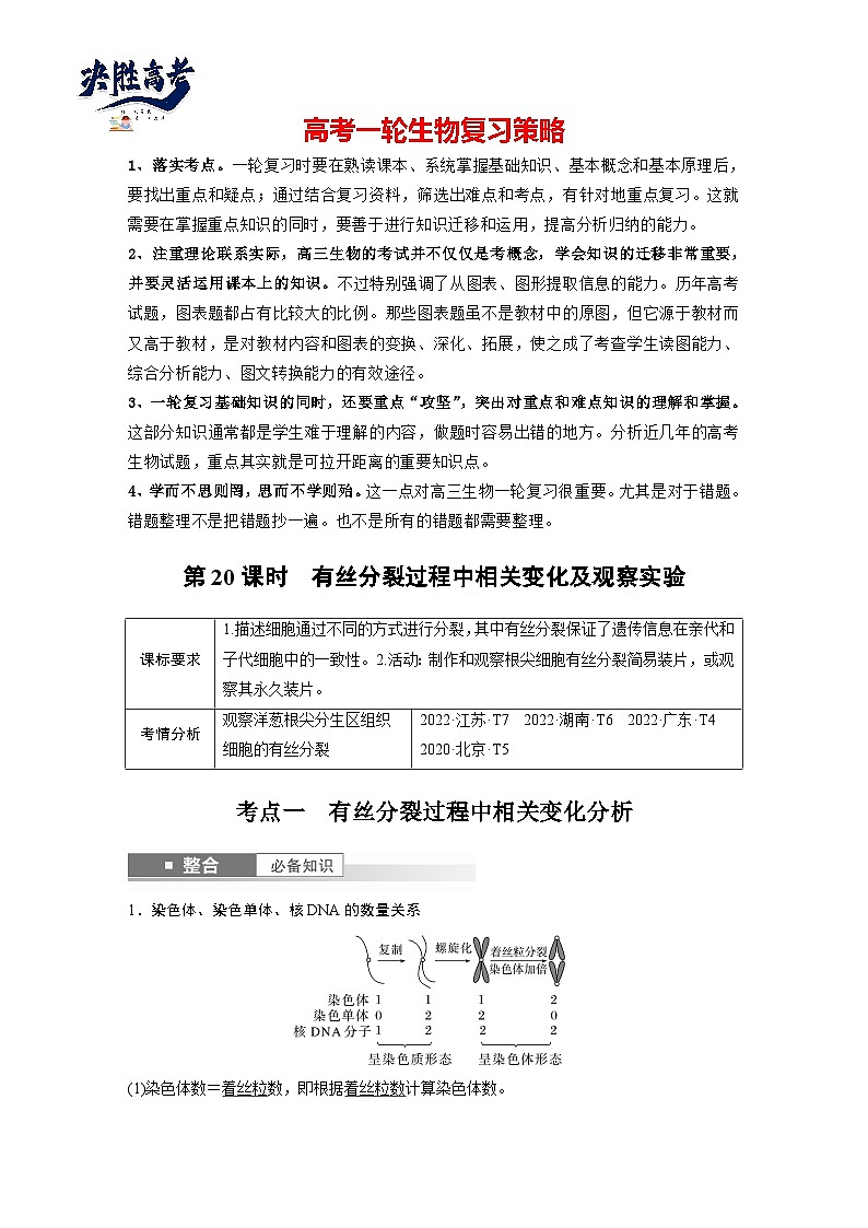 第四单元　第二十课时　有丝分裂过程中相关变化及观察实验-2025年高考生物大一轮复习（课件+讲义+练习）01