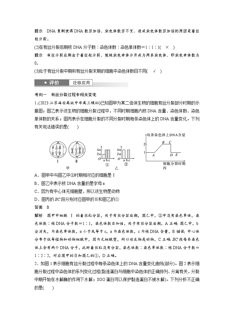 第四单元　第二十课时　有丝分裂过程中相关变化及观察实验-2025年高考生物大一轮复习（课件+讲义+练习）03