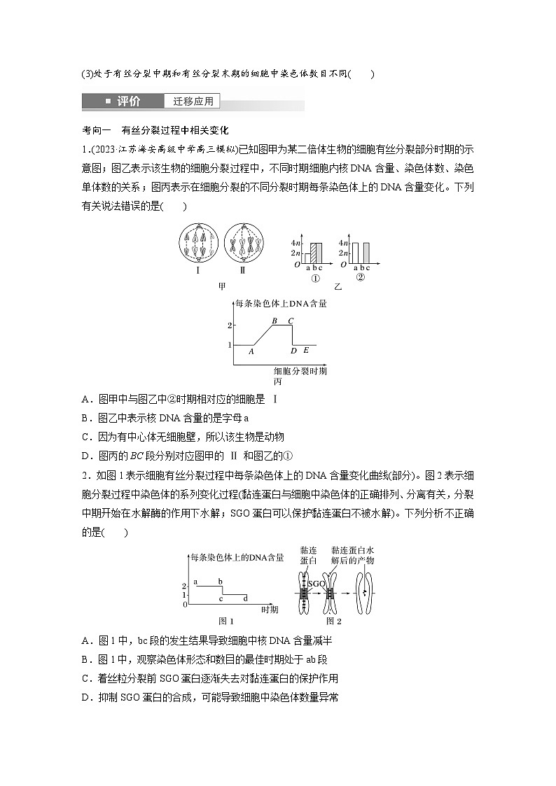 第四单元　第二十课时　有丝分裂过程中相关变化及观察实验-2025年高考生物大一轮复习（课件+讲义+练习）03