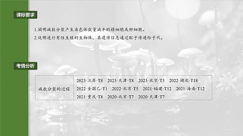 第四单元　第二十一课时　减数分裂和受精作用-2025年高考生物大一轮复习（课件+讲义+练习）04