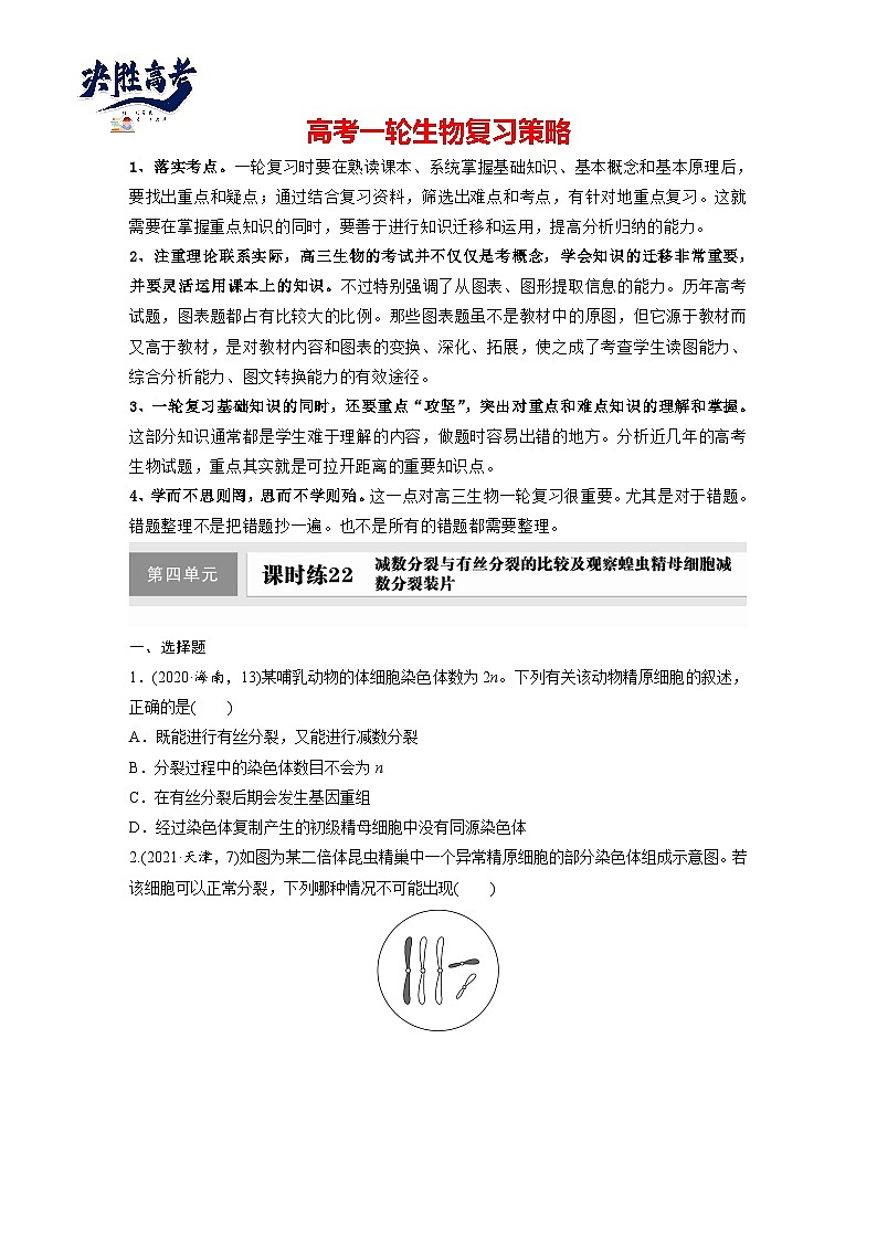 第四单元  课时练22  减数分裂与有丝分裂的比较及观察蝗虫精母细胞减数分裂装片-2025年高考生物大一轮复习（课件+讲义+练习）专练第1页