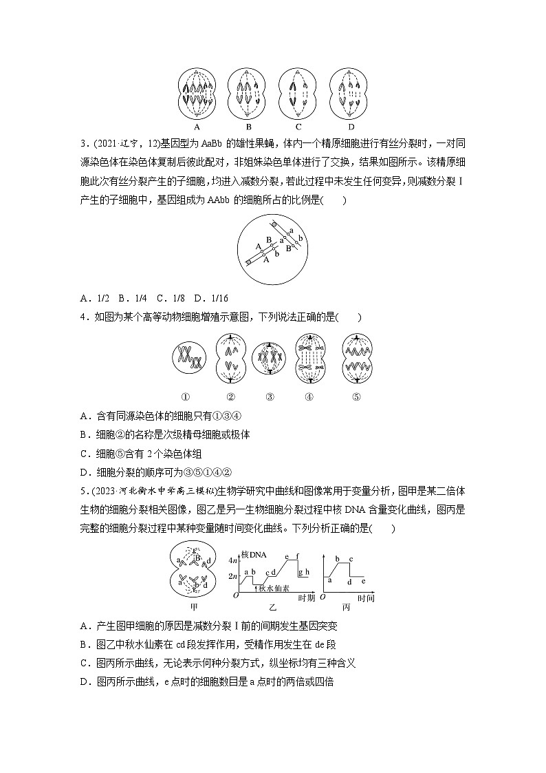 第四单元  课时练22  减数分裂与有丝分裂的比较及观察蝗虫精母细胞减数分裂装片-2025年高考生物大一轮复习（课件+讲义+练习）专练第2页